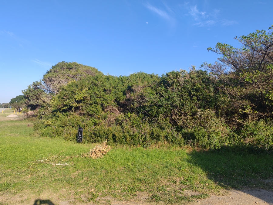 0 Bedroom Property for Sale in Boknesstrand Eastern Cape